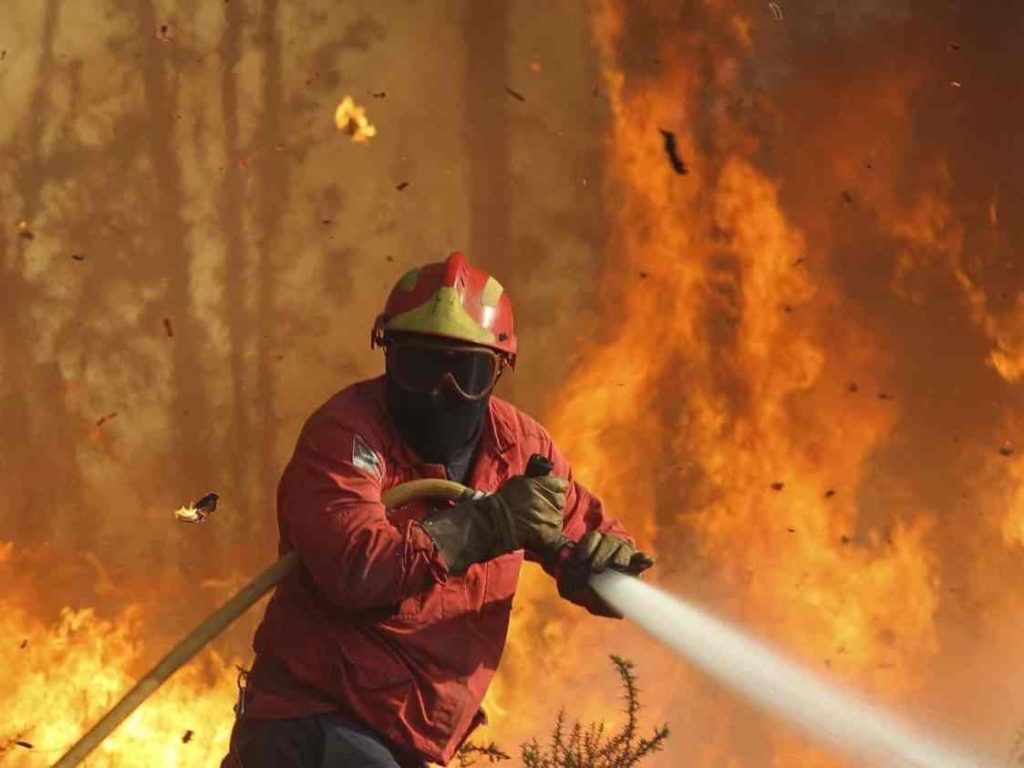 Incêndio na Roda Grande combatido com uma centena de operacionais bombeiros incendio