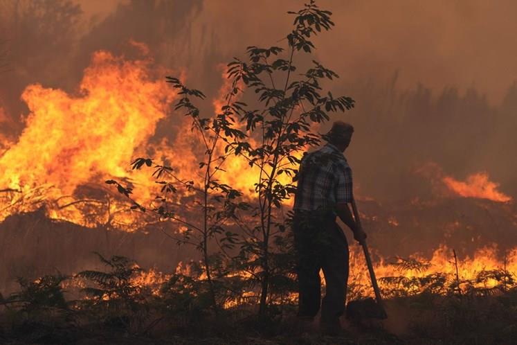Terceiro incêndio no Grou (Asseiceira) esta semana incendio 43 6241550885226499047 n