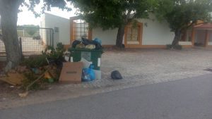 Contentores de lixo a abarrotar em Carvalhos de Figueiredo lixo 4812 7474764801952972800 n