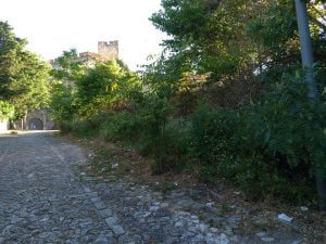 Tomarenses indignados com lixo à volta do castelo lixo calcada 2737 2593530205649098423 o
