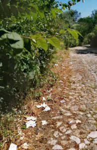 Tomarenses indignados com lixo à volta do castelo lixo calcada 34 5401546476332299963 n
