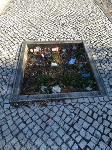 Tomarenses indignados com lixo à volta do castelo lixo calcada 978 387249037458584968 o