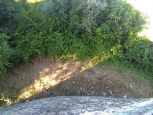 Tomarenses indignados com lixo à volta do castelo lixo calcada 1325713423536715439 o