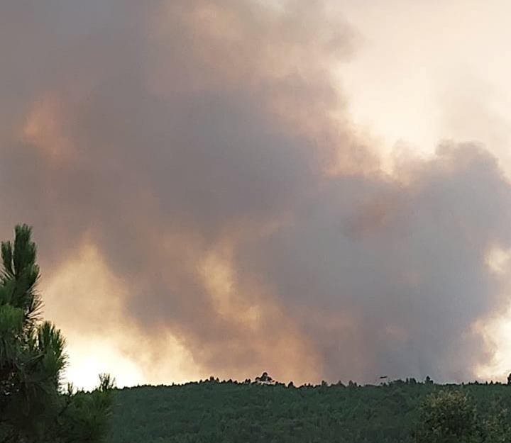 Dez meios aéreos e 400 operacionais combatem fogo em Abrantes 115695944 636839290524036 1274204160148824196 n