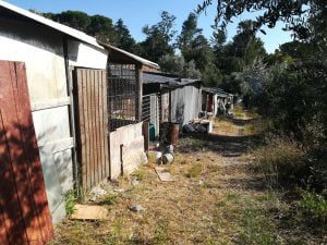 Câmara vai demolir barracões no bairro Nª Srª dos Anjos barracoes bairroIMG 20200703 083326