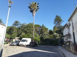 Câmara vai demolir barracões no bairro Nª Srª dos Anjos barracoes bairroIMG 20200703 084721