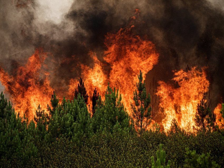 Incêndio em Pai de Aviz mobiliza quase 50 bombeiros incendio geral