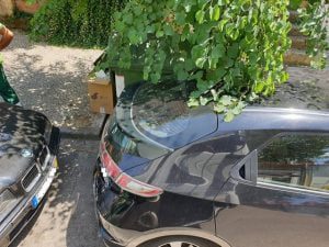 Recolha de lixo dificultada por viaturas mal estacionadas lixo 8 464996298667247210 n