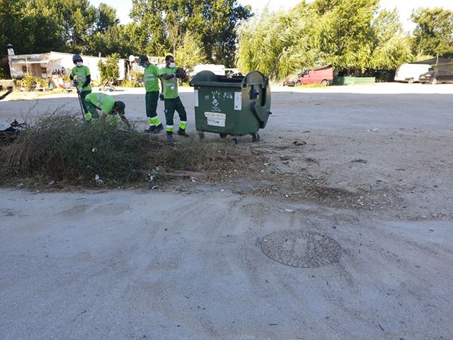 Lixo do Flecheiro recolhido após publicação no “Tomar na Rede” lixo suma 4 7877289068658719096 n