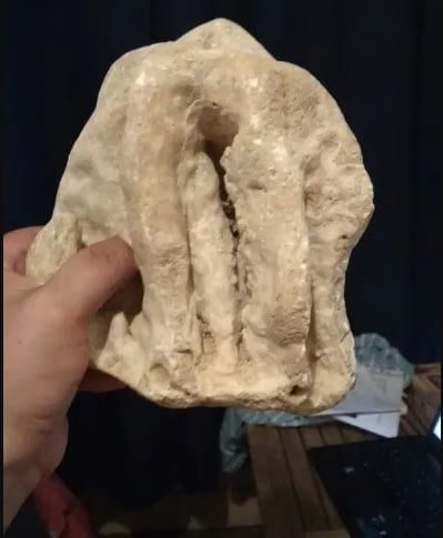Estalactite de gruta de Tomar à venda no OLX estactit image