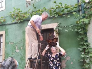 S. Pedro deu tréguas para a vindima da rua dos Arcos (c/ fotos e vídeo) IMG 20200918 182248