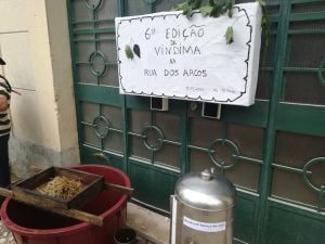 S. Pedro deu tréguas para a vindima da rua dos Arcos (c/ fotos e vídeo) IMG 20200918 182504