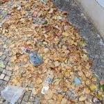 Cidadãos denunciam problemas relacionados com lixo lixo 0b88f882 28b7 48c6 b408 a1ab09f83da5