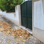 Cidadãos denunciam problemas relacionados com lixo lixo 799a9a41 1ccf 4c59 80bd 514d284a92e6