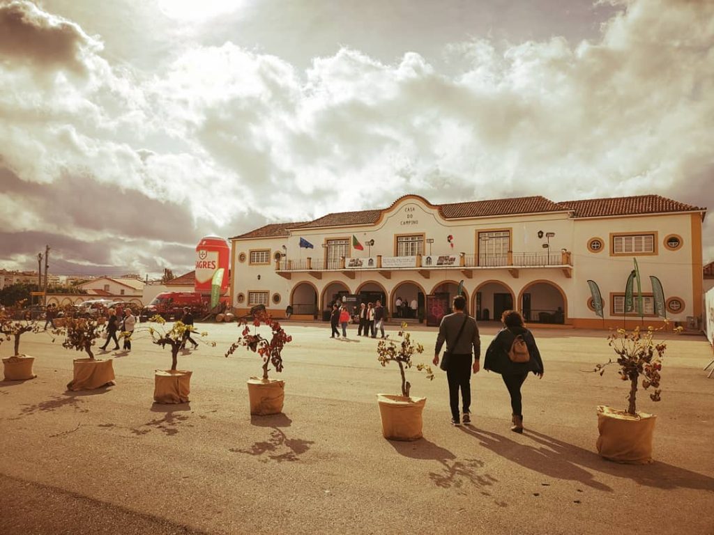 Santarém: Festival de Gastronomia dá lugar a evento “Sabores e Saberes” casa do campino 0399220852064256 o