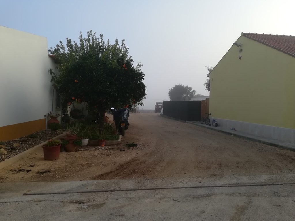IMG 20201128 082612