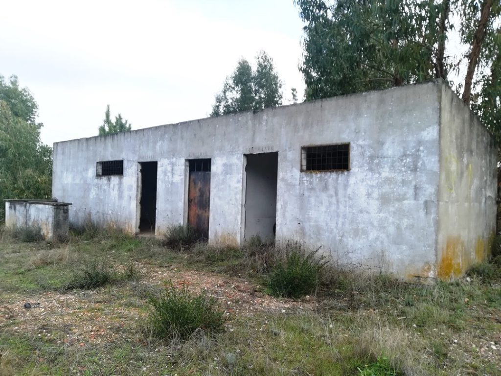 asseiceira campo IMG 20201115 091248