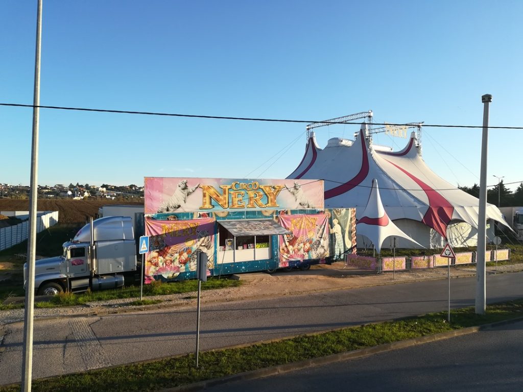 Circo Nery está em Tomar até dia 22 circo IMG 20201121 081116