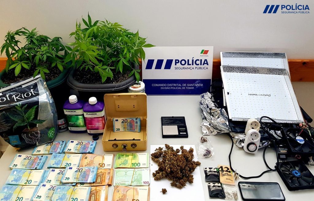 Polícia detém suspeito de tráfico de droga em Tomar psp cannabis 27617377758 5538870169085679287 o