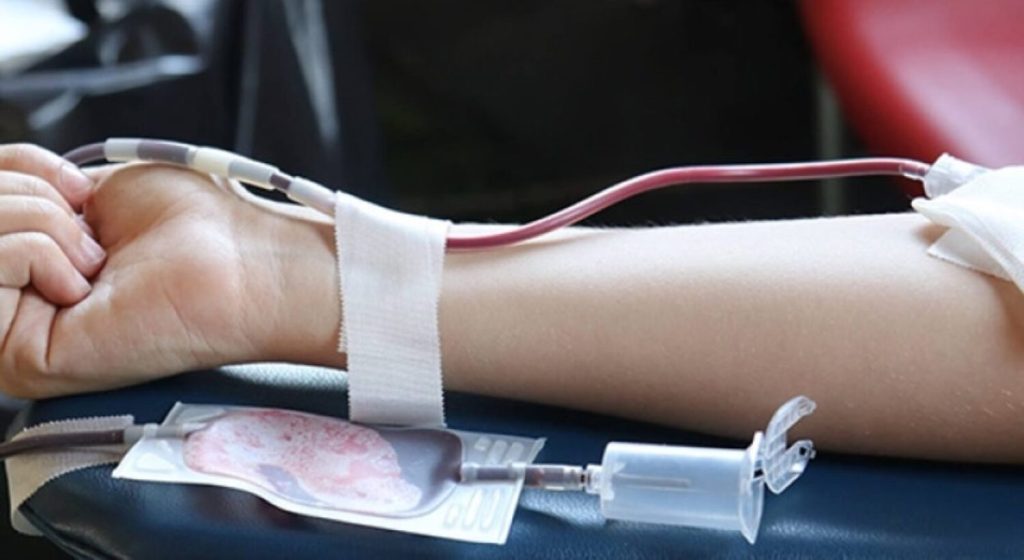 sangue