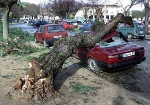 Lembram-se das cheias do ano 2000 em Tomar? (c/ fotos e vídeo) Cheias Em Tomar07 12 2000 e