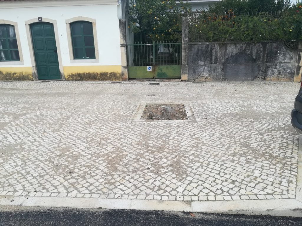 Uma árvore em frente ao portão? IMG 20201221 135303