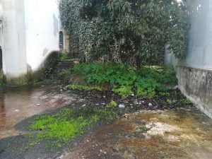 Palácio Alvim abandonado e cada vez mais degradado (c/ fotos) palacio alvim IMG 20201219 131652