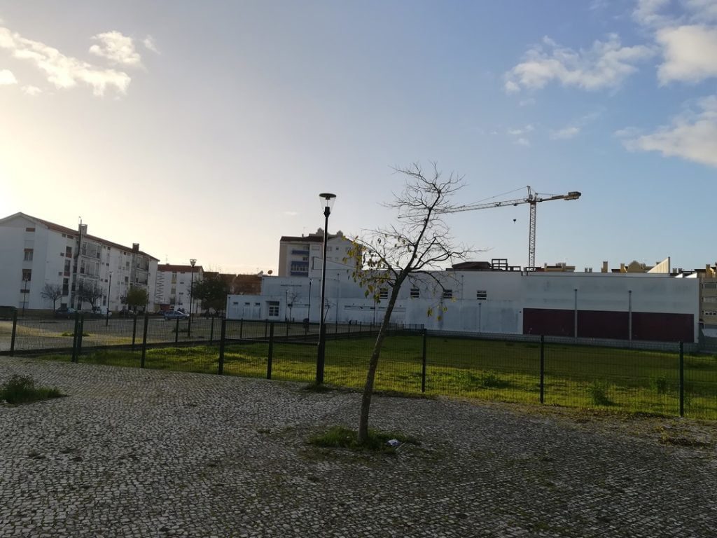 Parque canino: obras paradas há mais de três meses parque canino caes IMG 20201208 083735