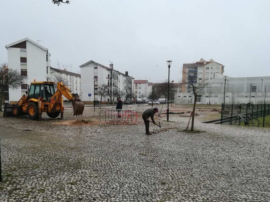 Alerta de “Tomar na Rede” foi acolhido pela câmara arvores