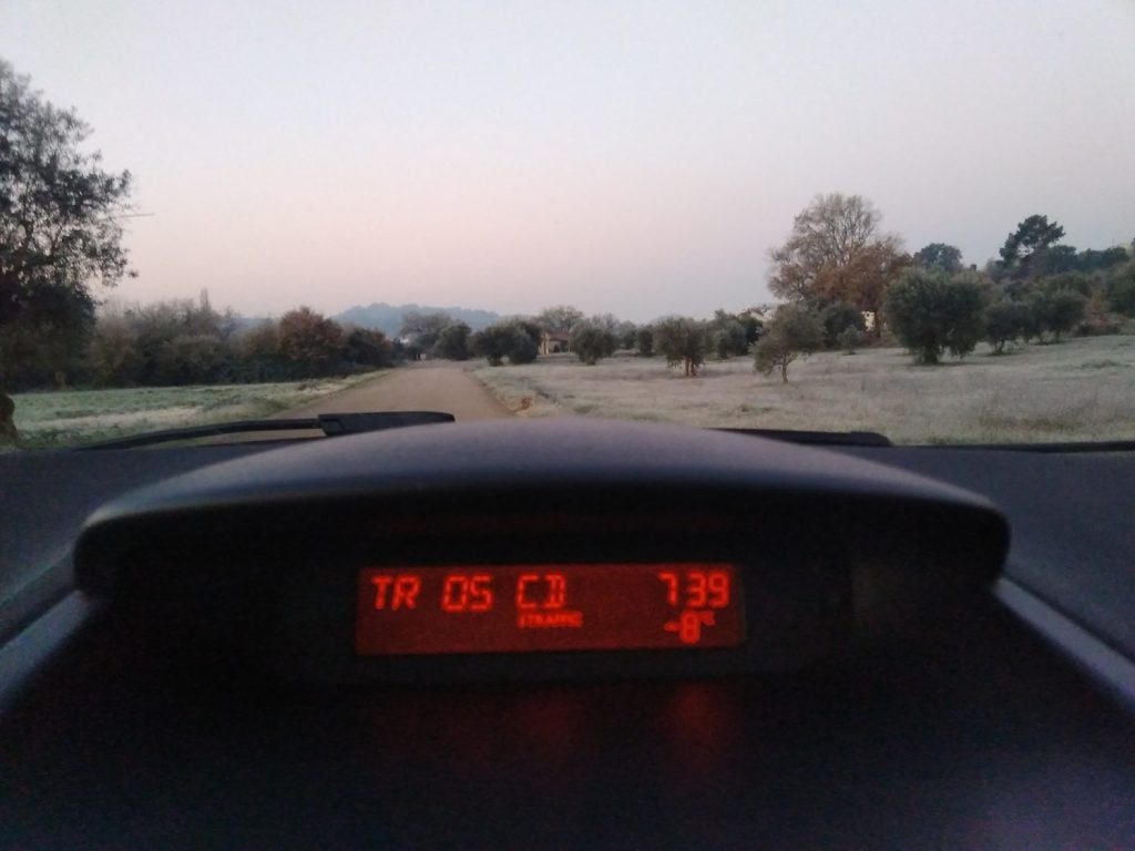 -8ºC registados na Sabacheira frio geada 26 5336094844306771746 o scaled 1