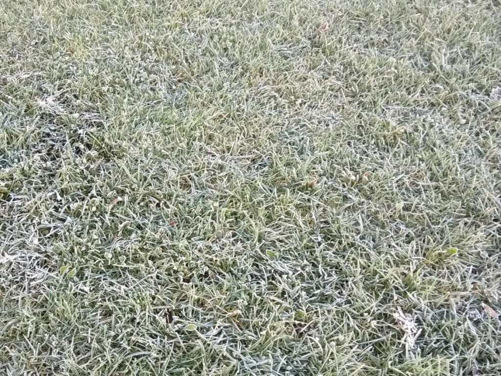 Temperatura desceu aos -4°C em Tomar frio geada 3499862 373137439691374387 o