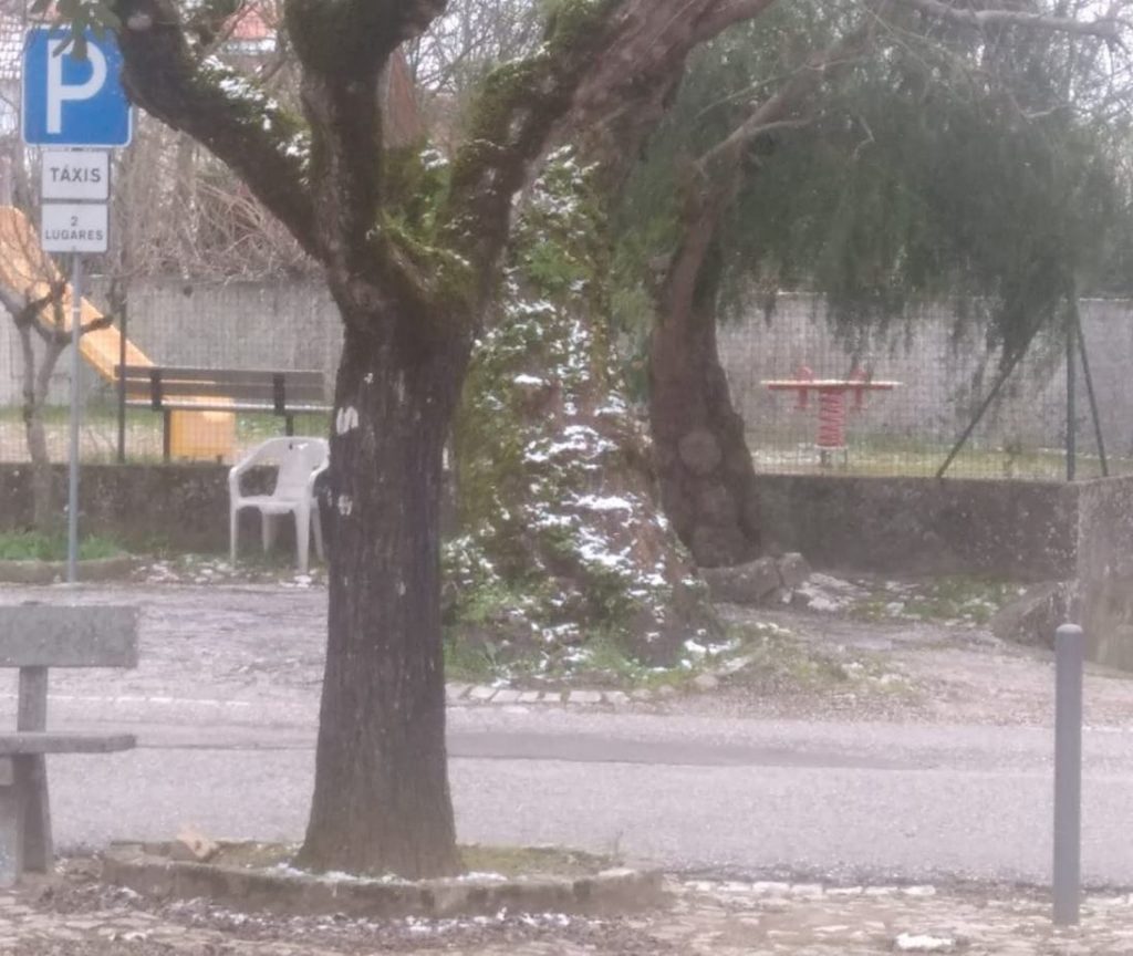 neve 766 4700759773837849758 o