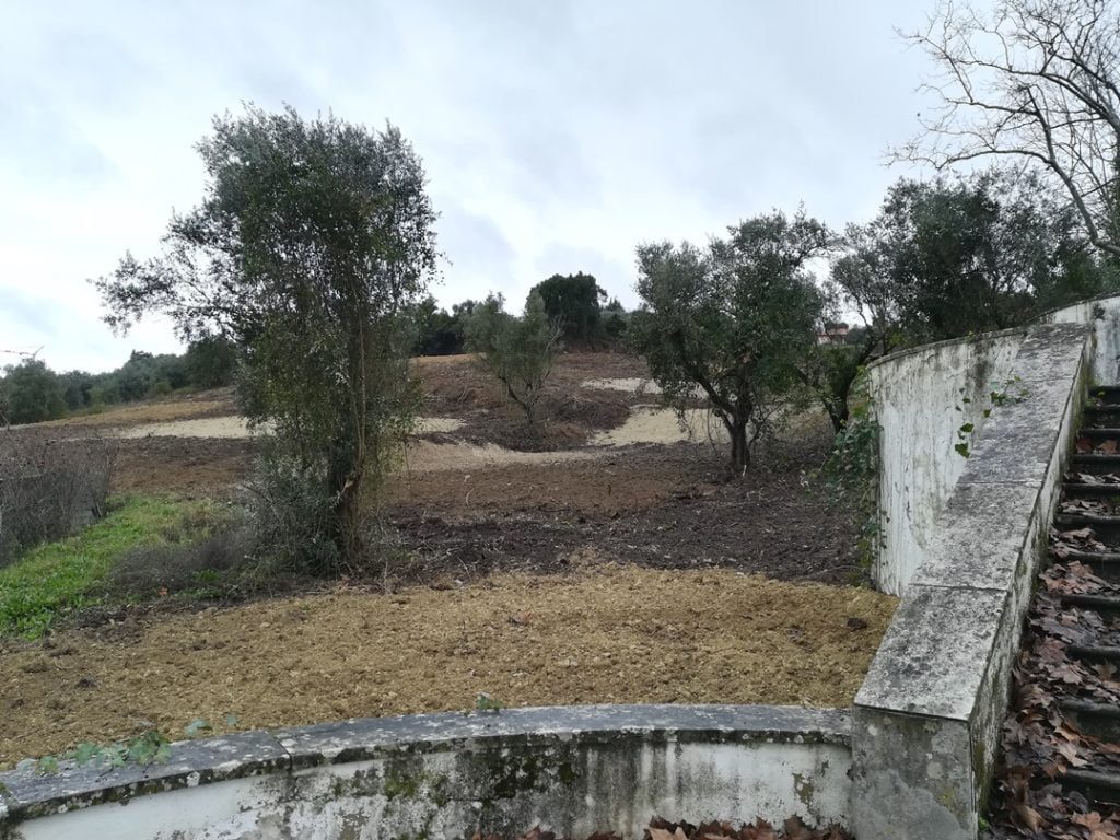 Encosta de Nª Srª da Piedade despida após limpeza de terreno IMG 20210206 103753