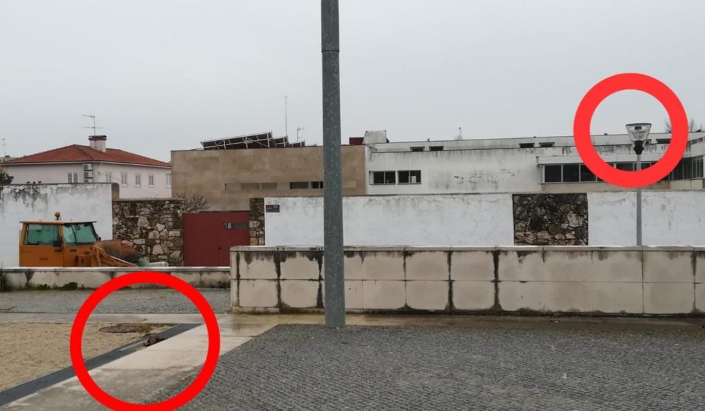 Cidadão alerta para armadilha TNR scaled 1