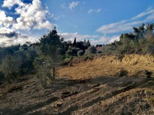 Encosta de Nª Srª da Piedade despida após limpeza de terreno encosta 7293906051010093288 n