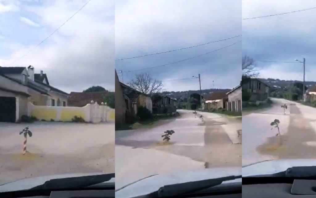 Ourém: moradores plantam couves em estrada esburacada (c/ vídeo) o couves