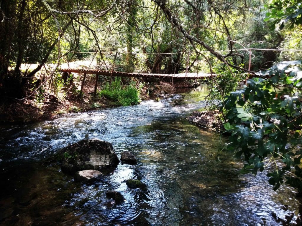 Passadiço de madeira sobre o rio Nabão levado pelas águas ponte lapas 20180908 142321 scaled 1