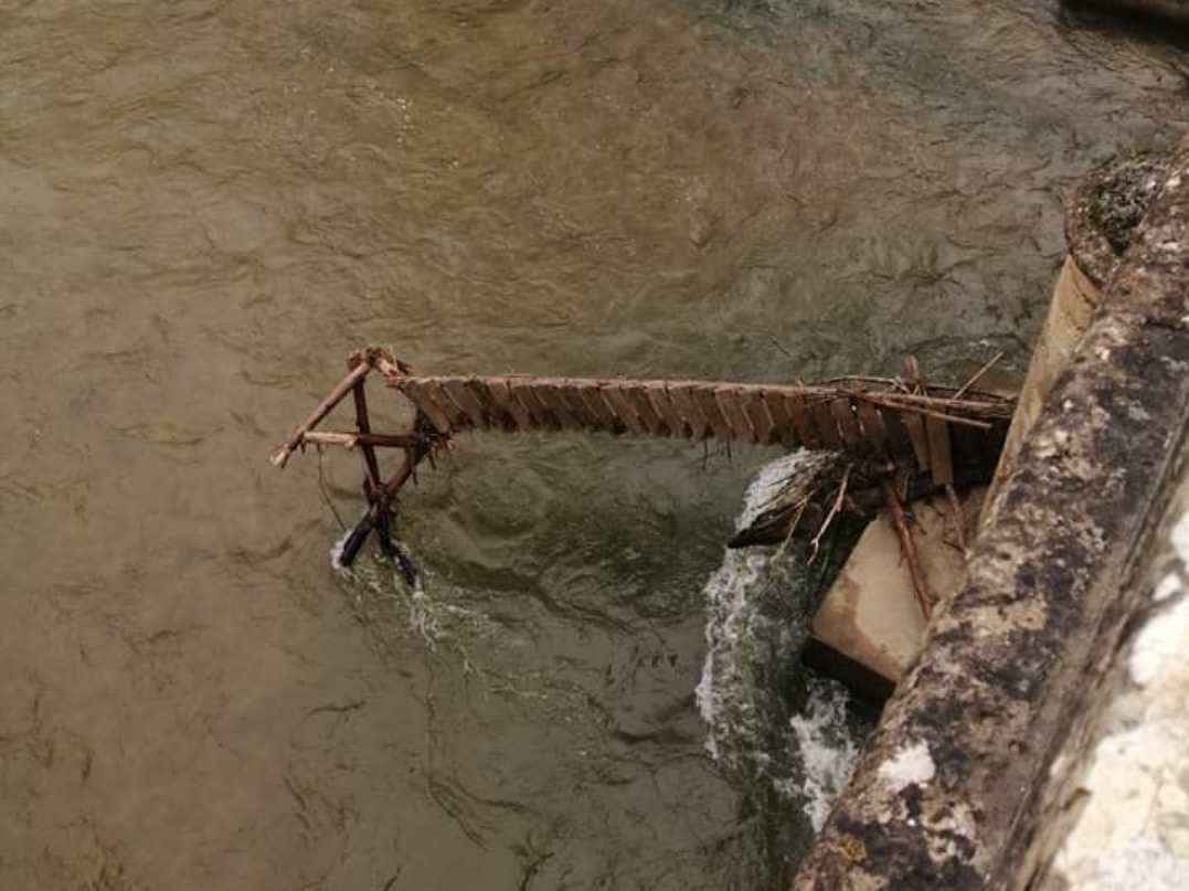 Passadiço de madeira sobre o rio Nabão levado pelas águas ponte lapas 349883 4984822306920724903 n