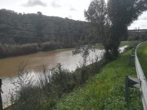 Rio Nabão galgou margens e submergiu parte do passadiço do Prado rio passadico 209 342037543763791713 n