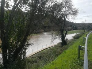 Rio Nabão galgou margens e submergiu parte do passadiço do Prado rio passadico 6895 9166300284902829673 n