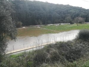 Rio Nabão galgou margens e submergiu parte do passadiço do Prado rio passadico 720244 6255400107321934573 n