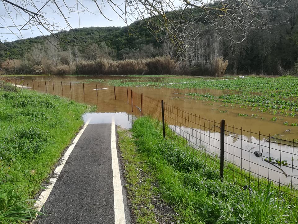 Rio Nabão galgou margens e submergiu parte do passadiço do Prado rio passadico 846 2135988933851465374 n