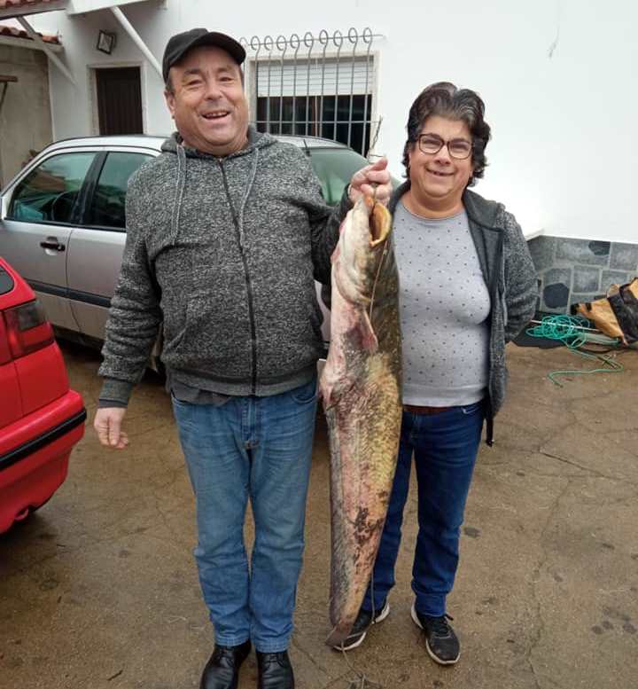 Siluro pescado na albufeira de Castelo do Bode siluro 7246599 70521769508680409 n