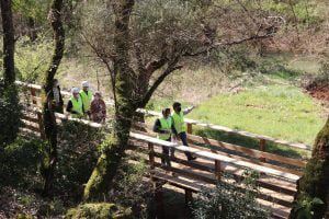Veja como está a ficar o passadiço do Agroal (c/ fotos) agroal passadico ourem 7633 751289078346829391 o scaled 1