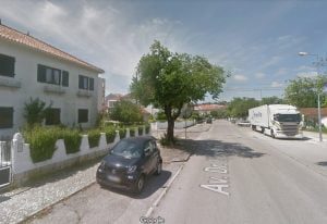 Corte de ramos de árvore provoca polémica arvore bairro 2