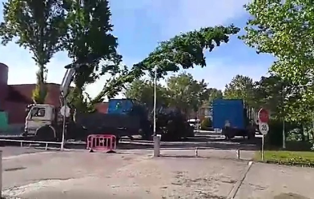 Politécnico manda abater e podar árvores (c/ vídeo) arvores ipt