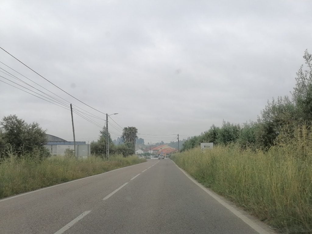 Ervas na berma da estrada põem em perigo automobilistas e peões ervas IMG 20210518 092041