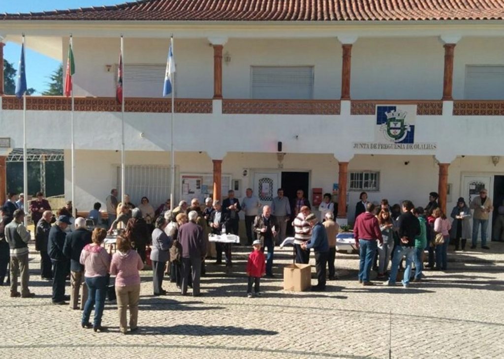 olalhas junta 3 6915550862818869032 o