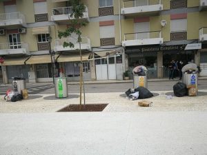 Ninguém despeja os ecopontos junto à Rodoviária ecopontos 490 2829109043251028373 n