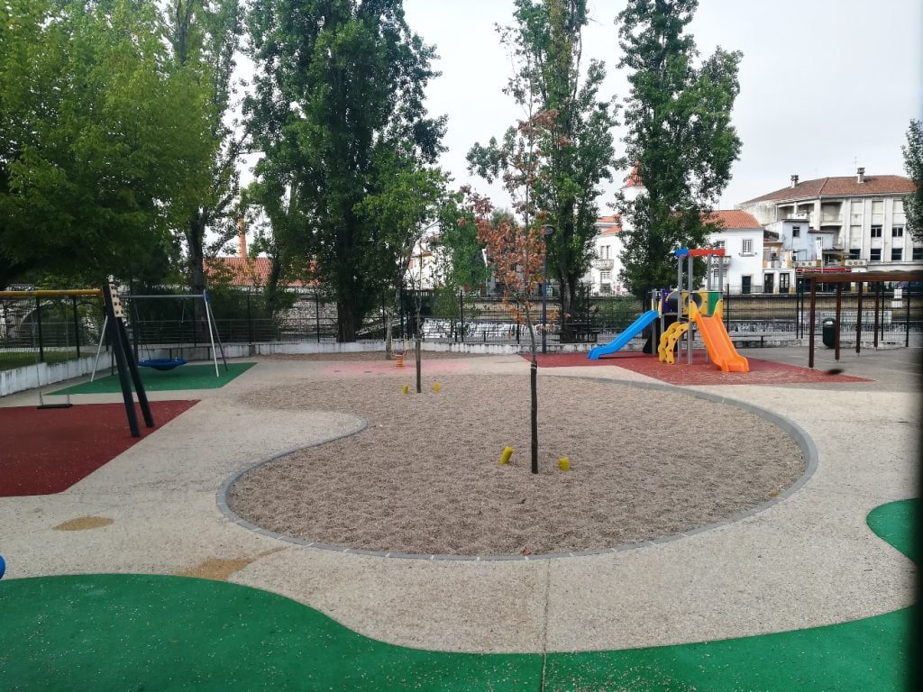 Nova árvore do parque infantil secou parque infantil IMG 20210725 090352